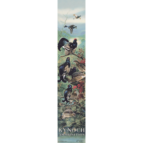 Kynoch Poster - Black Grouse