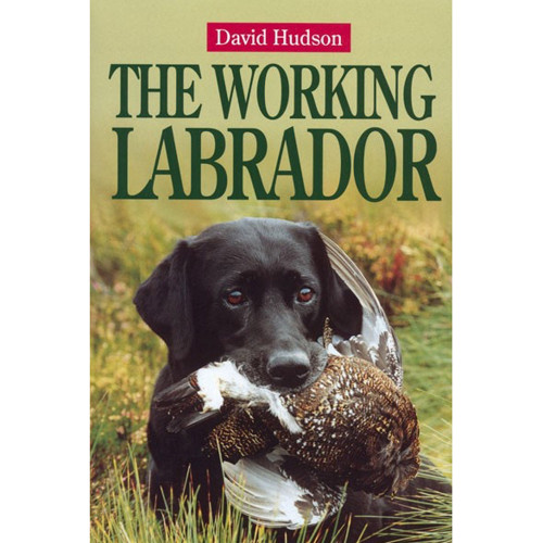 The Working Labrador