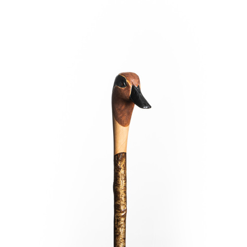 Hand Carved Teal Walking Stick