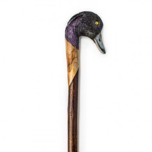 Tufted Duck Walking Stick