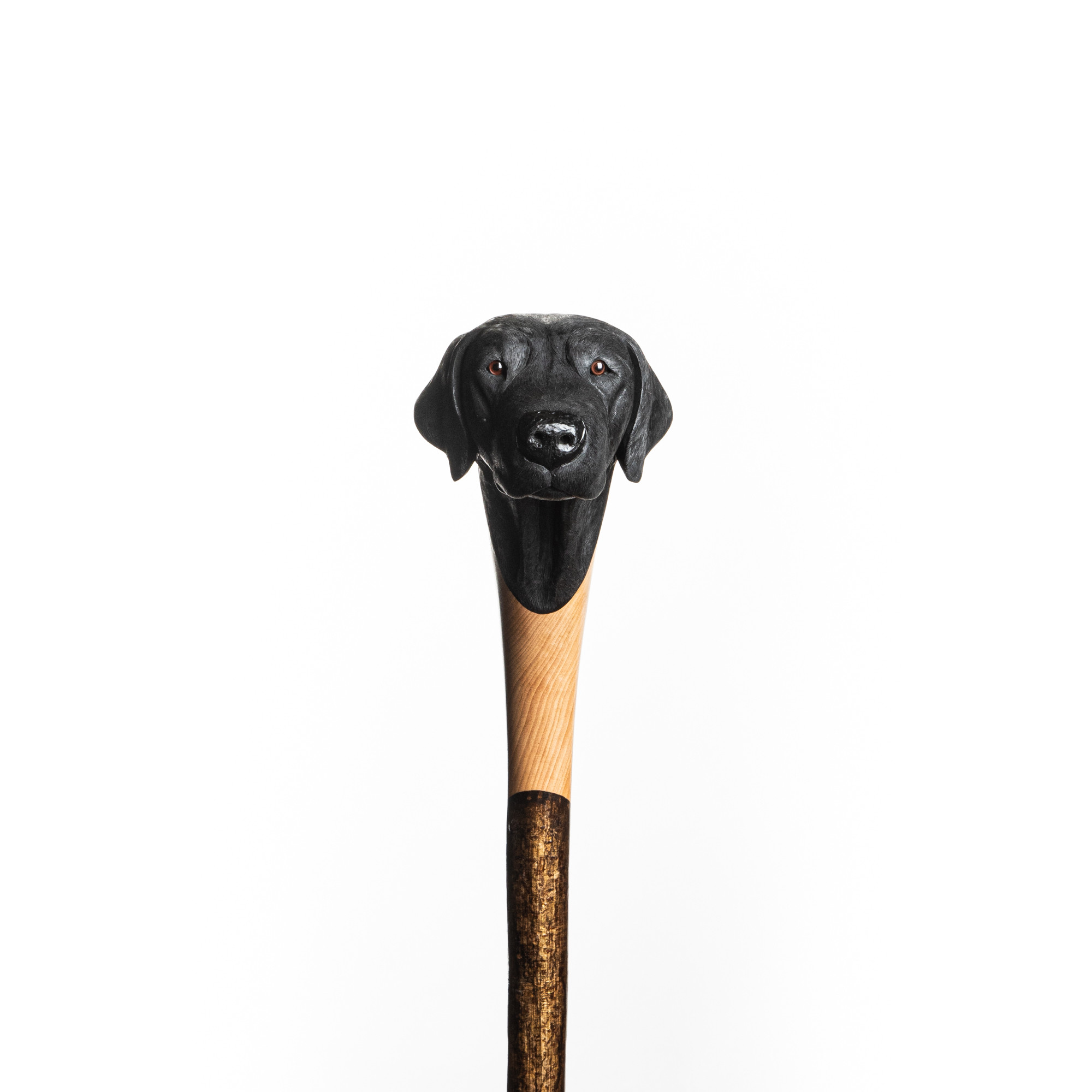 Westley Richards Hand Carved Black Labrador Walking Stick