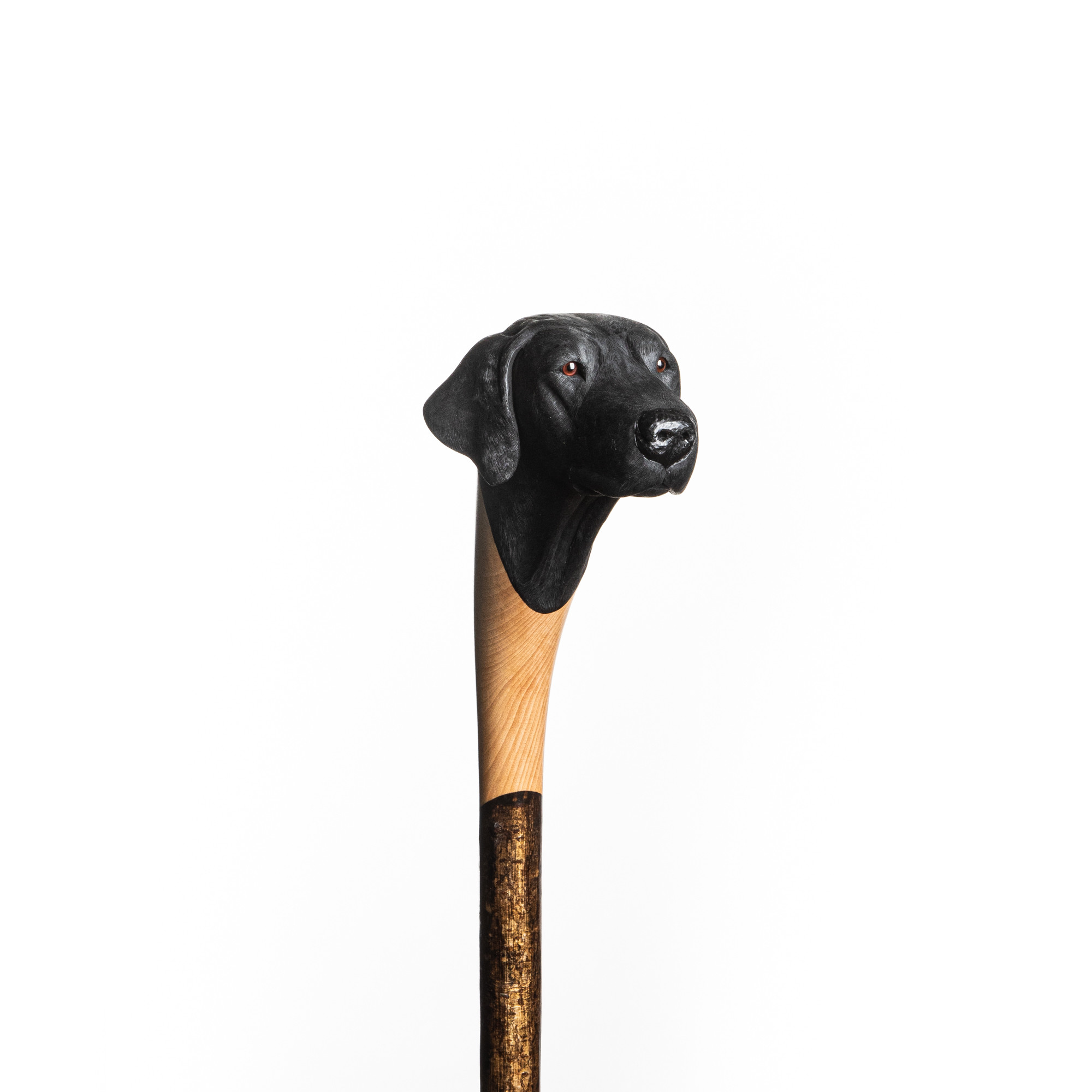 Westley Richards Hand Carved Black Labrador Walking Stick