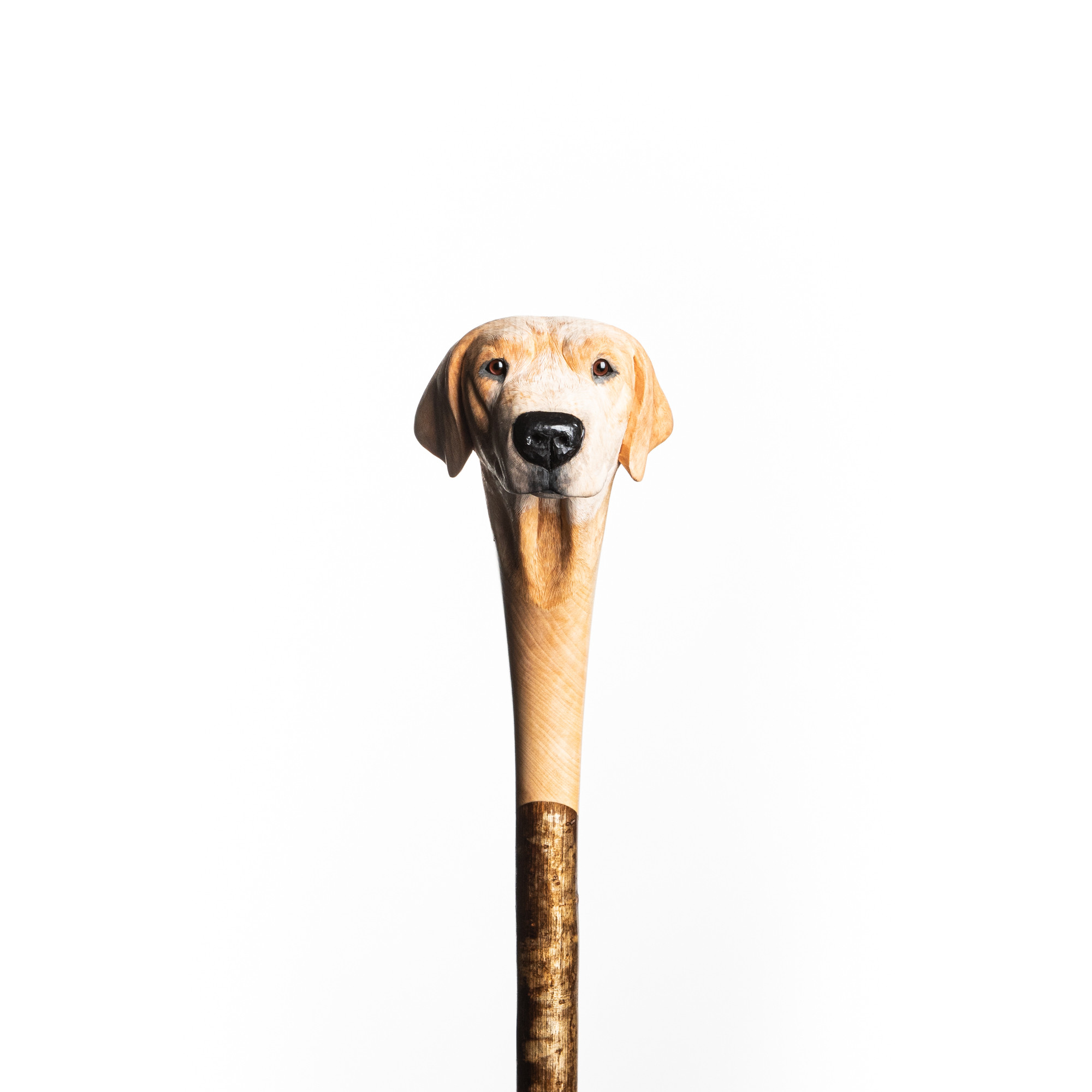 Westley Richards Hand Carved Golden Labrador Walking Stick