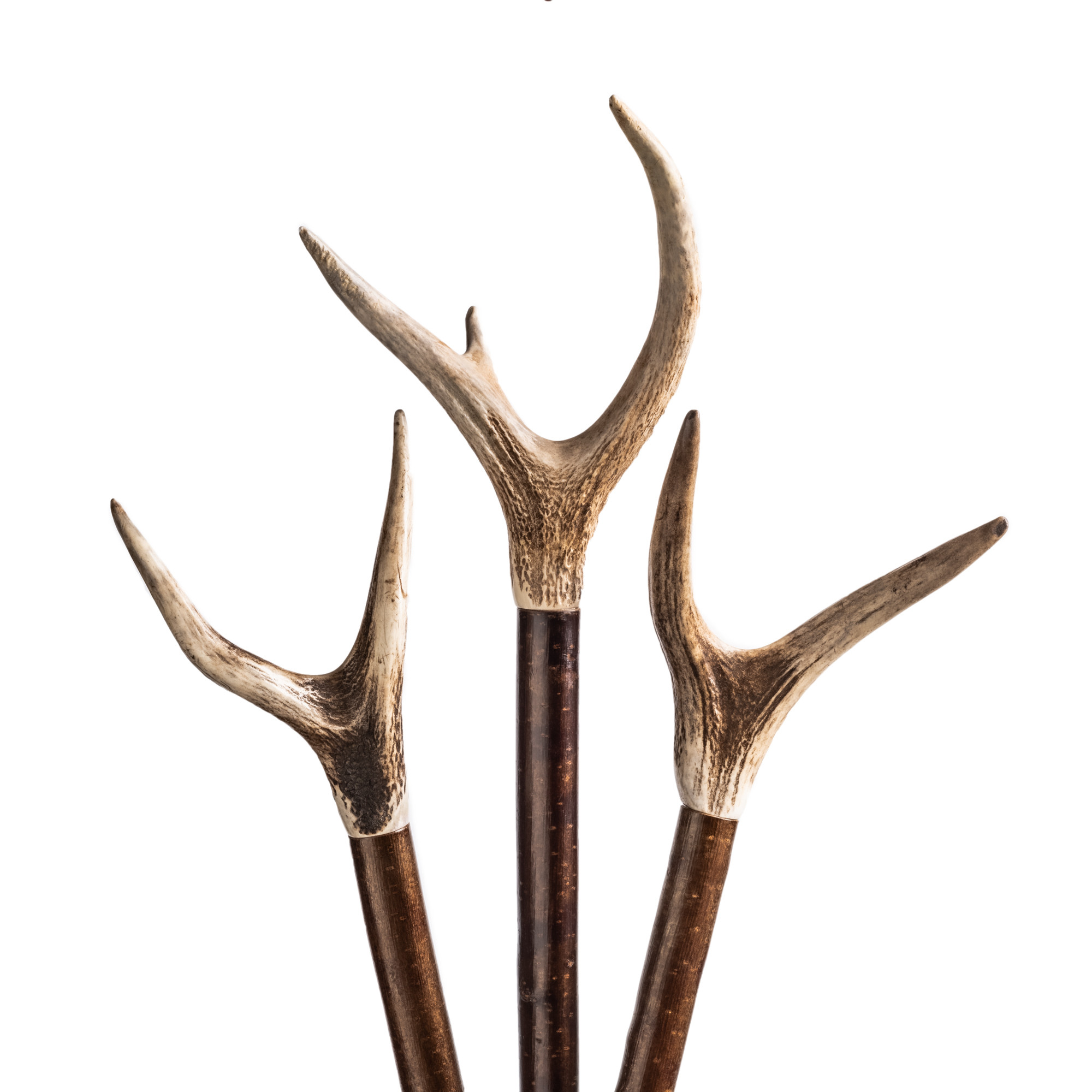 Westley Richards Stag Horn Thumb Stick