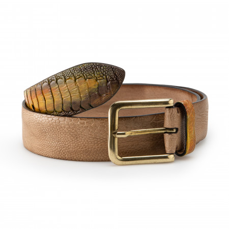 Post & Co. Ostrich Leg Leather Belt in Painted Yellow
