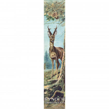 Westley Richards Kynoch Poster - Deer