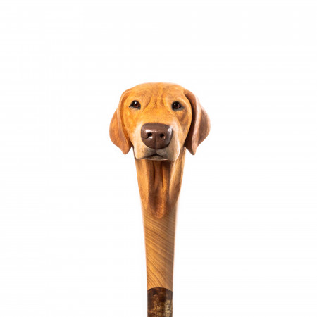 Personalised Hand Carved Dog Walking Stick