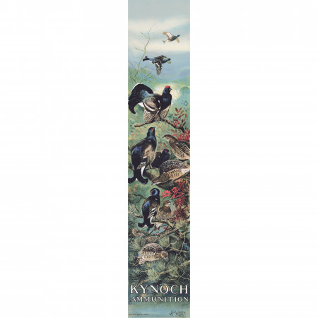Westley Richards Kynoch Poster - Black Grouse