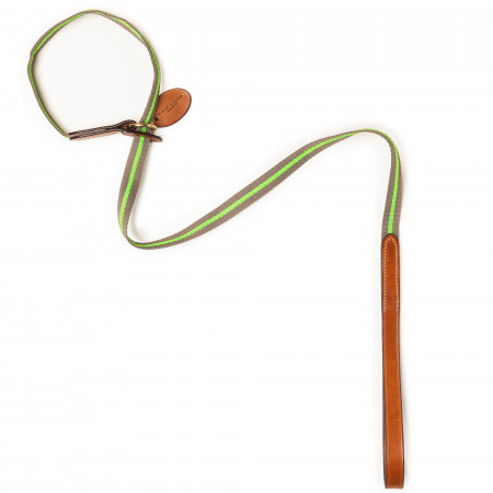 Westley Richards Fluorescent Dog Lead in Green Stripe & Mid Tan