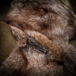Ladies Verdi Vest in Shooting Tweed
