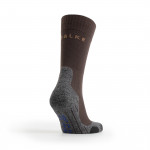 TK2 Cool Men's Socks in Brown