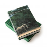 About the Spirit of the African Wilderness