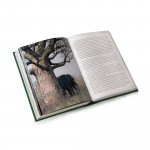 About the Spirit of the African Wilderness