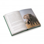 About the Spirit of the African Wilderness
