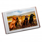 Behind & Beyond The Trigger