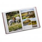 Behind & Beyond The Trigger