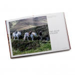 Behind & Beyond The Trigger