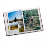 Behind & Beyond The Trigger