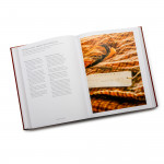 Behind & Beyond The Trigger