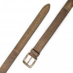 Men's Stingray Belt in Brown