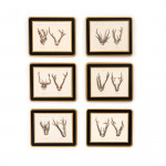 Antler Print Coasters - Roe Buck