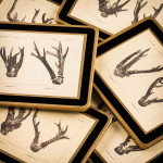 Antler Print Coasters - Roe Buck