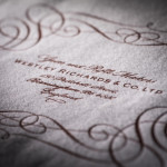 Selvyt Cloth