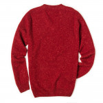 Rora Cashmere V neck Sweater - Rage