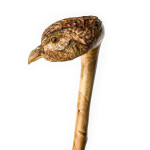 Curled Hen Pheasant Walking Stick