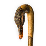 Curved Hen Mallard Walking Stick