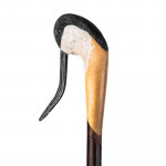 Hand Carved Avoset Walking Stick with Buffalo Horn Beak