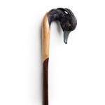 Curved Black Tufted Duck Walking Stick