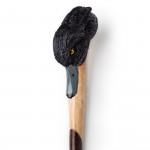 Curved Black Tufted Duck Walking Stick