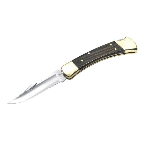 Buck Folding Hunter