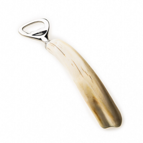 Bottle Opener in Warthog Tusk