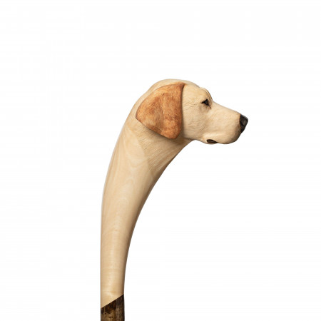 Yellow Labrador Walking Stick