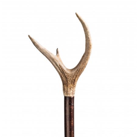 Westley Richards Stag Horn Thumb Stick