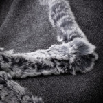 Scarlet Fur Detail Scarf in Charcoal/Snow Top