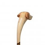 Yellow Labrador Walking Stick