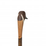 Pintail Walking Stick