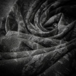 Signature Cashmere Scarf in Charcoal