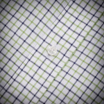 Tattersall Shirt in Apple & Navy