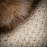 Livigno Cashmere Hat