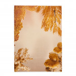 Luffa Scarf