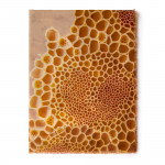 Luffa Scarf