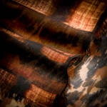 Safari Print Scarf