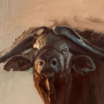 At Dusk - Cape Buffalo - Oil on linen