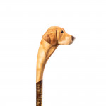 Personalised Hand Carved Dog Walking Stick