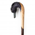 Curved Black Tufted Duck Walking Stick