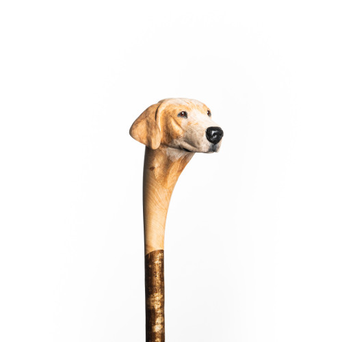 Hand Carved Golden Labrador Walking Stick